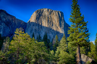 SCL-8267_HDR.jpg
