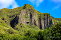 IMG_0980.jpg