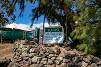Kaupo 2019