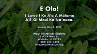2019 E Ola